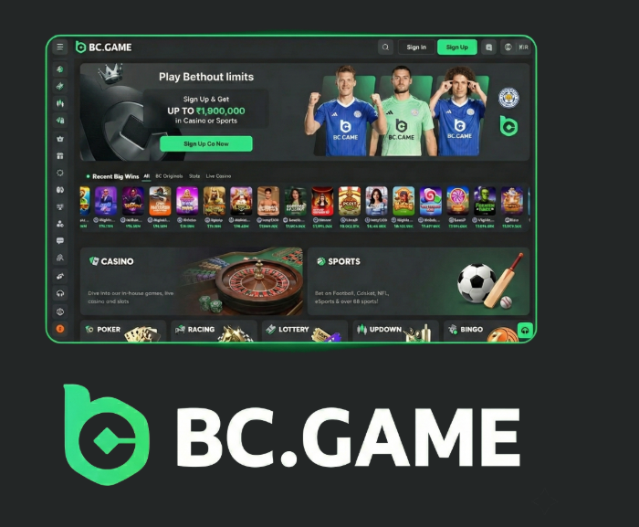 Exploring the Official BC.Game App Revolutionizing Online Gaming